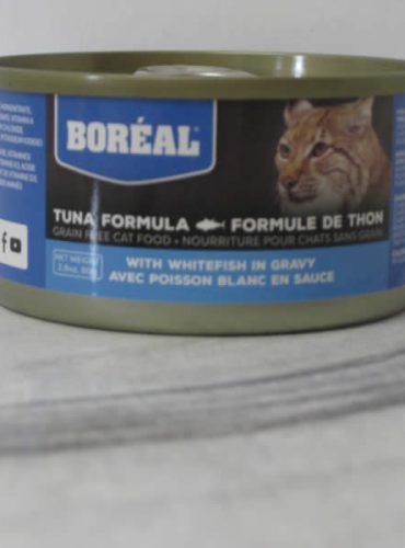 Boreal Canned Tuna Formula Whitefish in Gravy Cat Food Telling Tails Pet Supplies Chelmsford Ontario