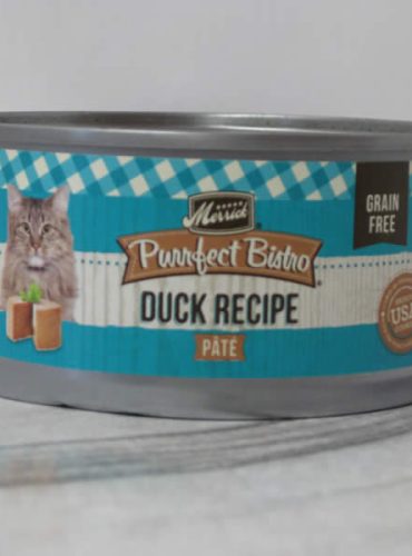 Merrick Purrfect Bistro Canned Duck Recipe Cat Food Telling Tails Pet Supplies Chelmsford Ontario