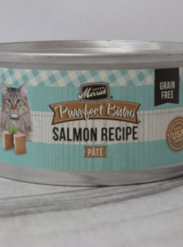 Merrick Purrfect Bistro Canned Salmon Recipe Cat Food Telling Tails Pet Supplies Chelmsford Ontario