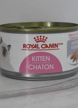 Royal Canin Canned Kitten Cat Food Telling Tails Pet Supplies Chelmsford Ontario
